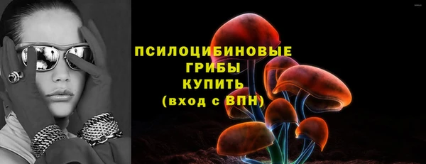 мяу мяу мука Кукмор