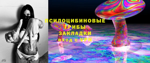 соль ск Краснослободск